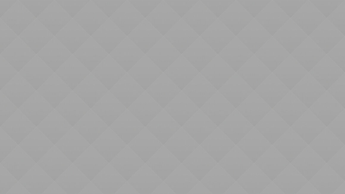 The Dutch painter Vermeer